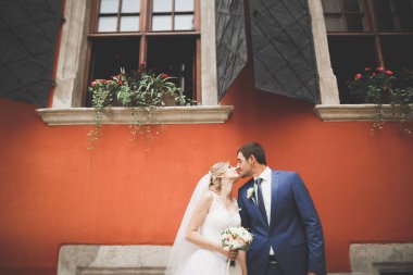 Muhteşem bir düğün çifti eski Lviv şehrinde yürüyor..