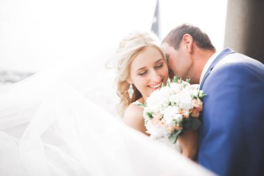 Muhteşem bir düğün çifti eski Lviv şehrinde yürüyor..