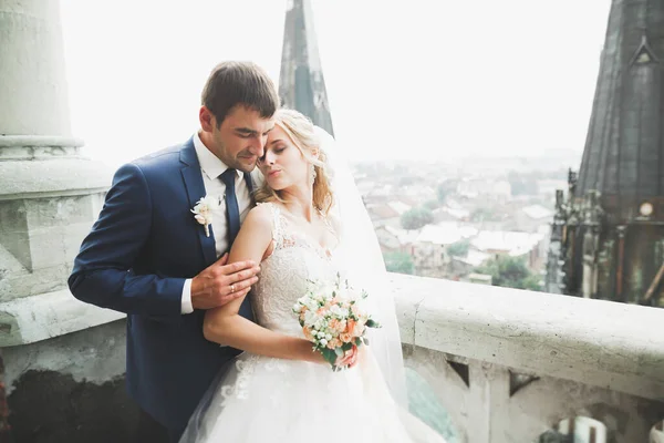 Prachtig Bruidspaar Wandelen Oude Stad Lviv — Stockfoto