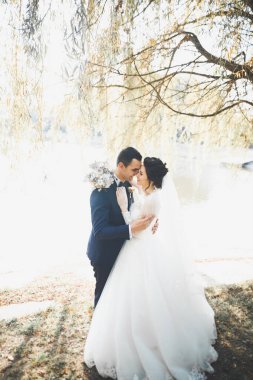 Yeni evli çift el ele tutuşurken parkta koşup zıplıyorlar..