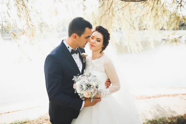 Romantický Pohádkový Šťastný Novomanželský Pár Objímající Líbající Parku Stromy Pozadí — Stock fotografie