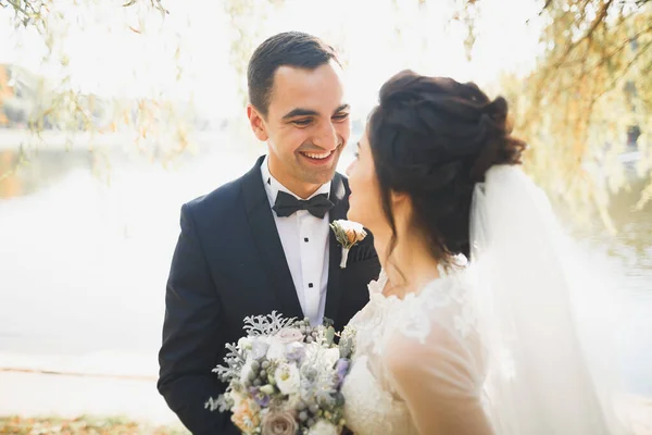 Casamento Casal Noiva Noivo Mãos Dadas — Fotografia de Stock
