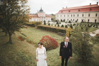 Şehvetli evli çift, eski Slav kalesinin önünde sevgililer günü kucaklaşması..