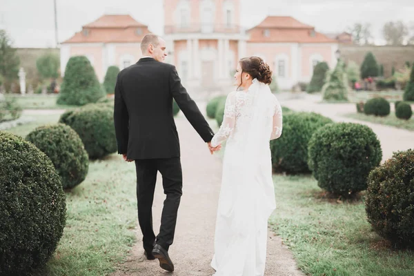 Brautpaar Hält Händchen — Stockfoto