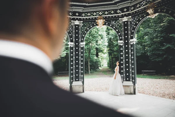 Роскошная Свадебная Пара Невеста Жених Позируют Городе Вена — стоковое фото