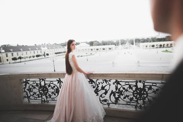 Роскошная Свадебная Пара Невеста Жених Позируют Городе Вена — стоковое фото