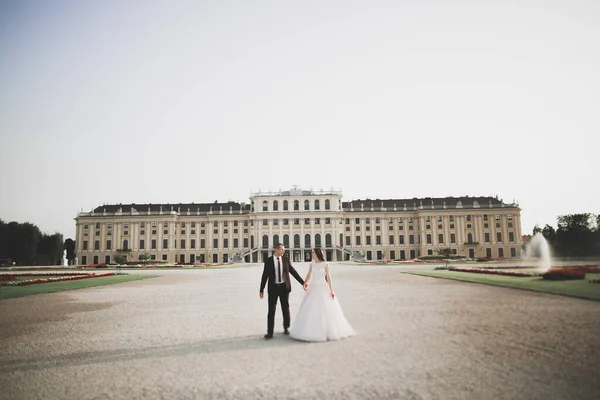 奢华的新婚夫妇 新郎新娘在维也纳摆姿势 — 图库照片