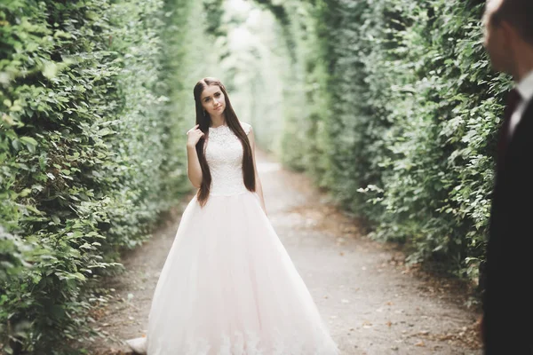 Прекрасная Счастливая Свадебная Пара Невеста Длинным Белым Платьем — стоковое фото