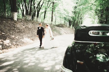 Şık bir düğün çifti, gelin, damat retro arabada öpüşüyor ve sarılıyor..