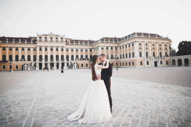 Lüks bir düğün çifti, gelin ve damat lüks şehirde poz veriyor..
