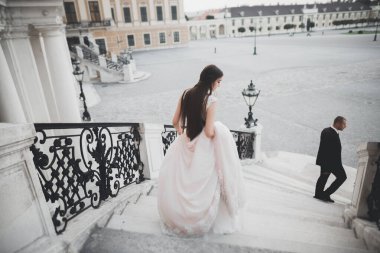 Mükemmel bir çift gelin ve damat düğün günlerinde poz verip öpüşürler..