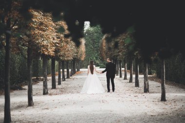 Lüks düğün çifti, gelin ve damat Viyana 'da poz veriyor..