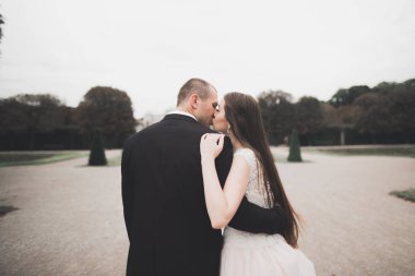 Lüks evli çift, gelin ve damat eski şehirde poz veriyor..