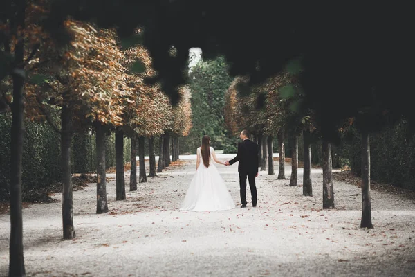 Lüks düğün çifti, gelin ve damat Viyana 'da poz veriyor..