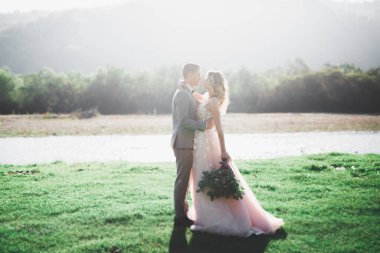 Şık şık mutlu esmer gelin ve dağlarda güzel bir nehir arka plan üzerinde muhteşem damat.