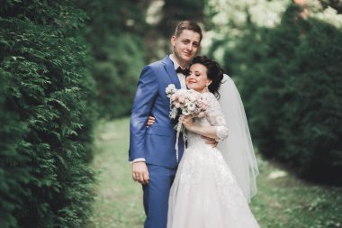 Botanik parkında yürüyen mutlu bir çift..