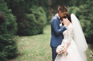 Romantik, peri masalı, mutlu yeni evli çift parkta sarılıp öpüşüyor, arka planda ağaçlar....