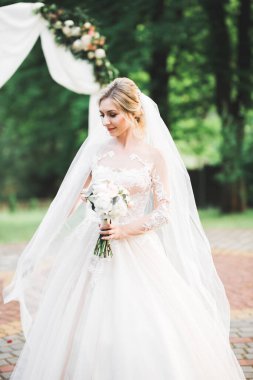 Arka planda izole edilmiş bir şekilde gülümseyen genç adamın portresi..