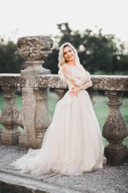 Beautiful luxury young bride in wedding dress posing near historical building.