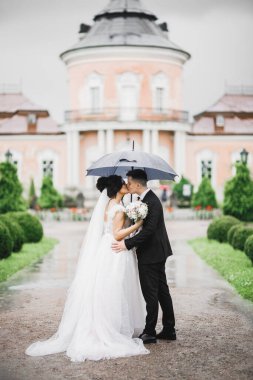 Mükemmel bir çift gelin ve damat düğün günlerinde poz verip öpüşürler..