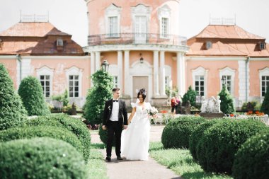 Düğün günü el ele tutuşan çift, damat ve gelin..