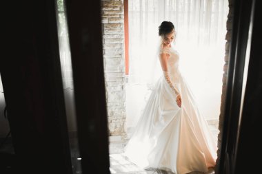 Tüylü, lüks makyaj, saç stili, stüdyo içi fotoğraf çekimi olan güzel bir gelin..