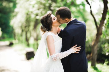 Güzel gelin ve damat evlendikleri gün kucaklaşıp öpüşüyorlar..