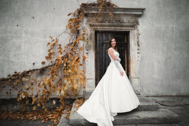 Gelinin güzel portresi moda gelinliği içinde tüylü, lüks makyaj ve saç stili..