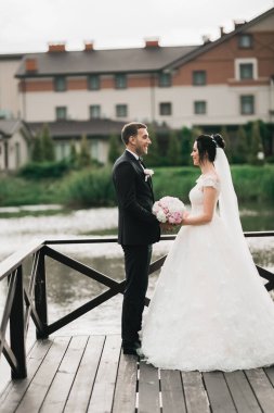 Düğün günü el ele tutuşan çift, damat ve gelin..