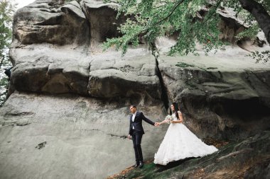 Harika bir gelin damada poz veriyor ve harika manzaralı dağlarda eğleniyor. Mesajlaşacak yer, düğün çifti..