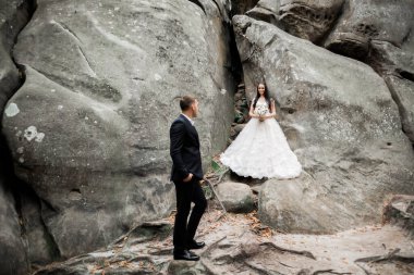 Harika bir gelin damada poz veriyor ve harika manzaralı dağlarda eğleniyor. Mesajlaşacak yer, düğün çifti..