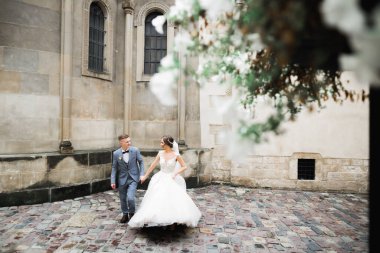 Düğün günü el ele tutuşan çift, damat ve gelin..