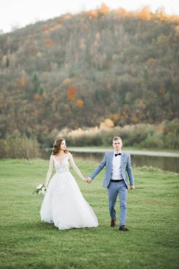 Düğün günü el ele tutuşan çift, damat ve gelin..