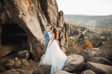 Romantik düğün anı, yeni evli çiftin gülümseyen portresi, gelin ve damadın kucaklaşması.