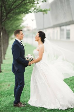 Göz kamaştırıcı mutlu çift birbirine yakın duruyor ve gözlerinin içine bakıyor..