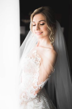 Gelinin güzel portresi moda gelinliği içinde tüylü, lüks makyaj ve saç stili..