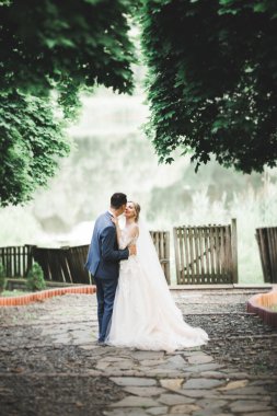 Güzel gelin ve damat evlendikleri gün kucaklaşıp öpüşüyorlar..