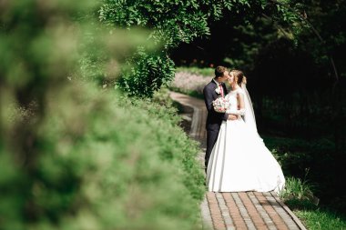 Güzel gelin ve damat evlendikleri gün kucaklaşıp öpüşüyorlar..