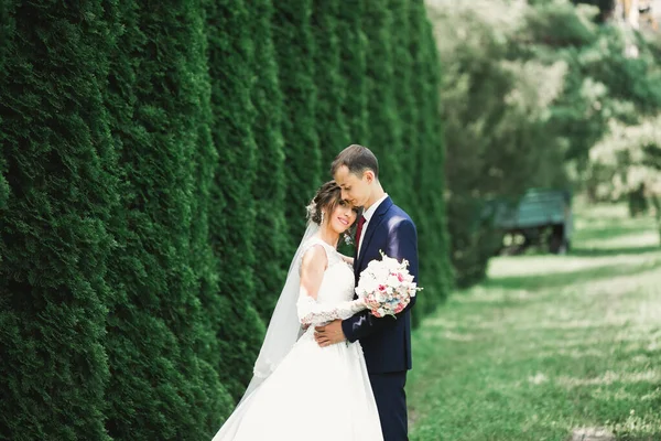 Doğadaki Düğün Çifti Birbirine Sarılıyor Beyaz Elbiseli Güzel Bir Kız — Stok fotoğraf