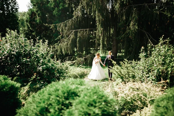 Elegante Pareja Recién Casados Felices Elegantes Caminando Por Parque Día —  Fotos de Stock