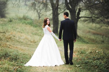 Düğün günü el ele tutuşan çift, damat ve gelin..