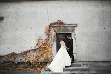 Genç ve güzel bir çiftin yakın çekimi..