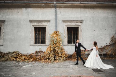 Düğün günü el ele tutuşan çift, damat ve gelin..