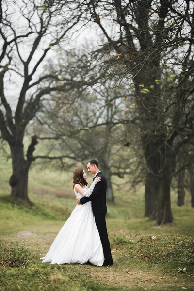 Romantyczna Baśniowa Szczęśliwa Para Nowożeńców Przytulająca Się Całująca Parku Drzewa — Zdjęcie stockowe