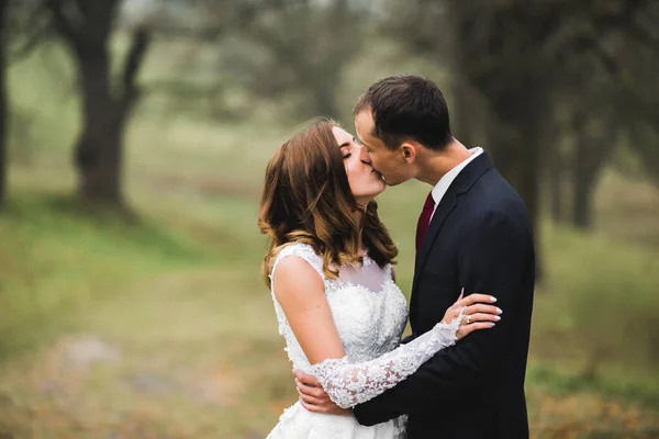 Romântico Conto Fadas Feliz Casal Recém Casado Abraçando Beijando Parque — Fotografia de Stock