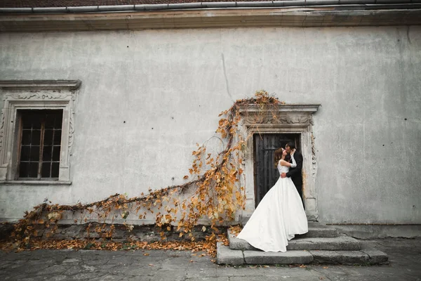 Vacker Brud Och Brudgum Omfamnar Och Kysser Sin Bröllopsdag Utomhus — Stockfoto