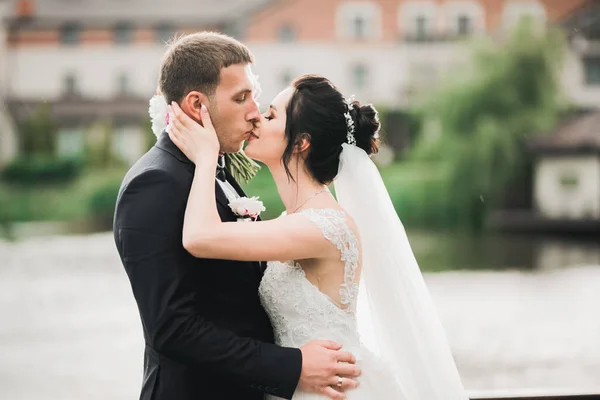 Красива Наречена Наречена Обіймаються Цілуються День Весілля Відкритому Повітрі — стокове фото