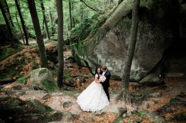 Romantik, peri masalı, mutlu yeni evli çift parkta sarılıp öpüşüyor, arka planda ağaçlar....