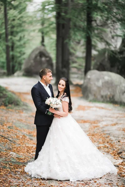 Красива Романтична Весільна Пара Молодят Обіймається Парку — стокове фото