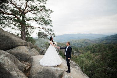 Harika bir gelin damada poz veriyor ve harika manzaralı dağlarda eğleniyor. Mesajlaşacak yer, düğün çifti..